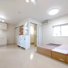 LDK