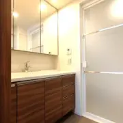 洗面台 ザ・パークハウス板橋大山楠ノ杜