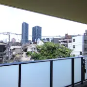 眺望 ザ・パークハウス板橋大山楠ノ杜